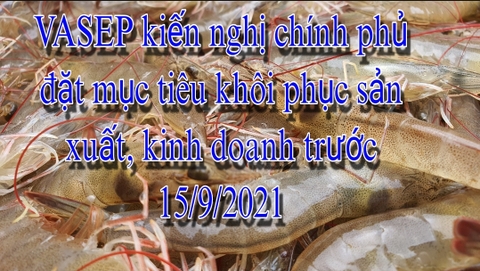 VASEP kiến nghị Chính phủ đặt mục tiêu khôi phục sản xuất, kinh doanh trước 15/9