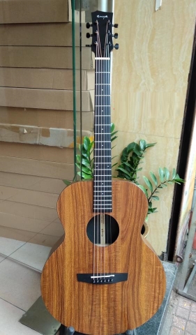 Đàn Guitar Acoustic EA-X1