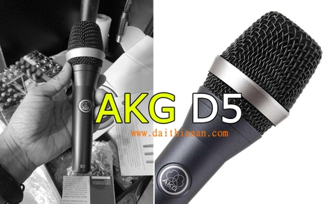 AKG D5