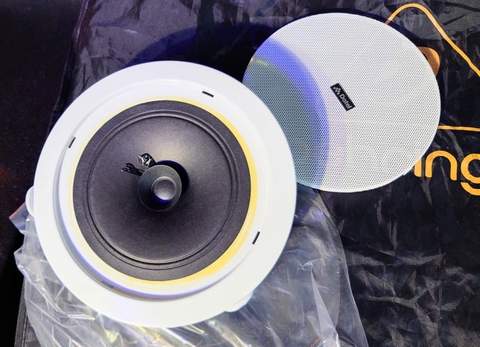 Loa Âm Trần Datel