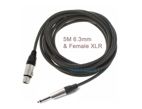 Dây Micro 6.3mm & XLR Female cable 5M - High Quality Microphone