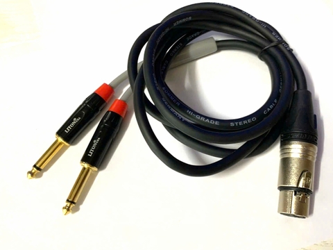 Dây Canon Chia 2 6li mono