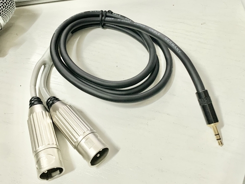 TAD-164 Dây 3.5mm x 2 Canon Đực