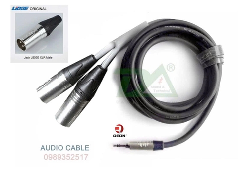 DTA-3063 Dây 3.5mm - Canon x 2 XLR Đực