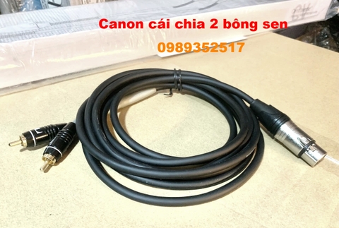 TAD-992 3M - Dây Canon cái chia 2 bông sen  - Dùng cho Subwoofer và vang số