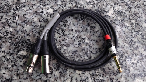 TAD-053 Dây Insert Jack Canon XRL 2M Jack Y