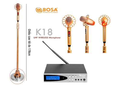 BOSA K18 Micro đứng classic karaoke KTV Classic Style