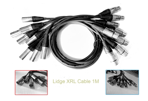 TAD-056 Dây Canon 1M,  Jack Lidge Chân Mạ Bạc