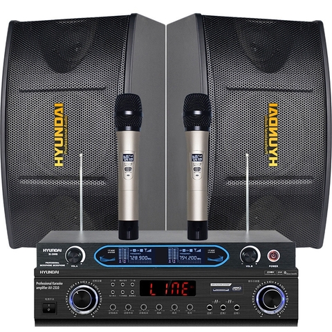 LOA KARAOKE BASS 25CM M10 - VN