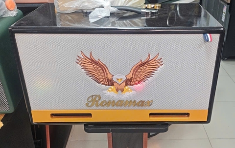 Loa Xách Tay Ronamax T980