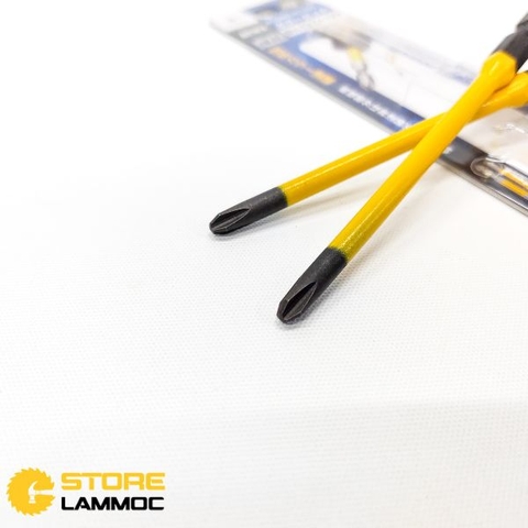 Cặp mũi bắn vít 1 đầu PH2 dài 100mm Anex ACMD-2100