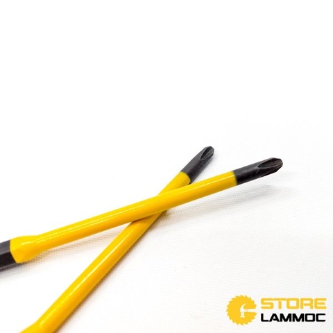 Cặp mũi bắn vít 1 đầu PH2 dài 100mm Anex ACMD-2100