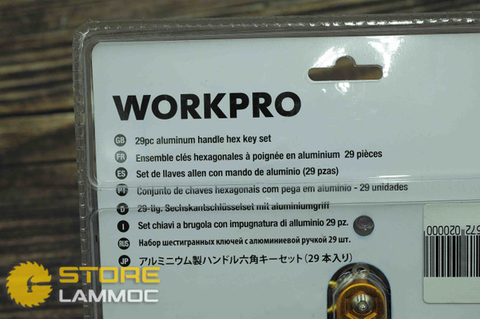 Bộ lục giác gấp gọn 29 chi tiết WORKPRO W000901