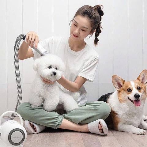 Ổ Cắm Điện Thông Minh DEVZONE – Giải Pháp Cho Người Nuôi Thú Cưng Tại Nhà