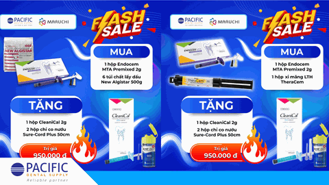 FLASH SALE | CHÀO MỪNG HỘI THẢO "KHÁM PHÁ NGHỆ THUẬT VÀ KHOA HỌC CỦA VENEER SỨ"