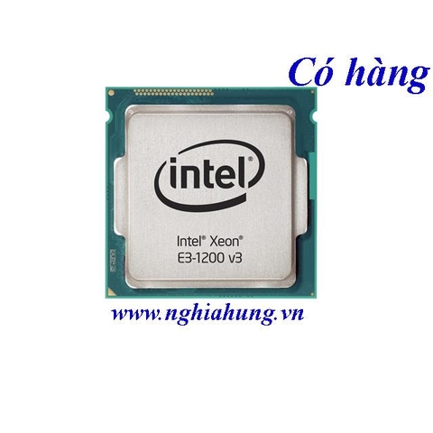 Intel® Xeon® Processor E3-1220 v3  (8M Cache, 3.10 GHz)