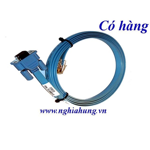 Cisco Console Cable 72-3383-01