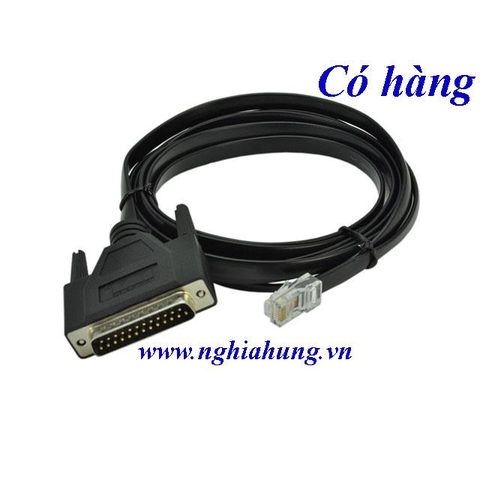 Cisco DB25 to RJ45 Modem/Console Cable