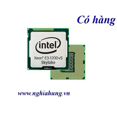 Intel® Xeon® Processor E3-1225 v5 (8M Cache, 3.30 GHz)
