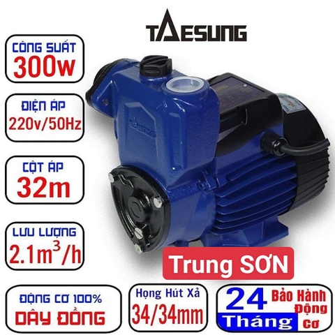 Máy Bơm Chân Không Chất Lượng Cao:Taesung TSB-300