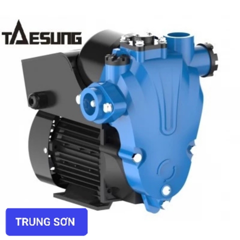 Máy bơm nước thông minh Taesung Tsm-300