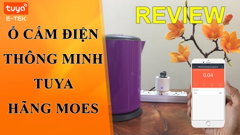 Review Ổ cắm điện thông minh wifi tuya, Chính hãng MOES