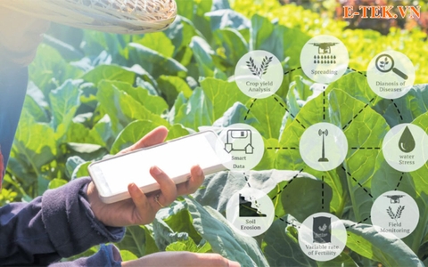 Thiết Bị IoT Nông Nghiệp Thông Minh