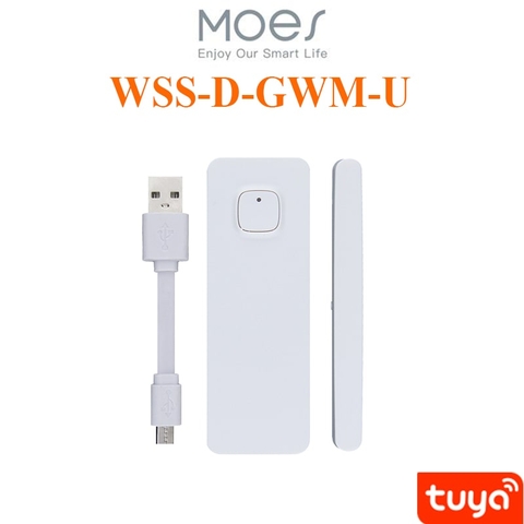 Cảm biến cửa Tuya Wifi Moes WSS-D-GWM