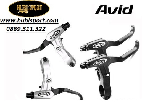 Tay Phanh Avid