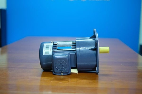 Motor giảm tốc dolin tải trung DLSV 0.1KW tỷ số truyền 1/550 – 1/1800