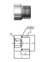 DBP-M