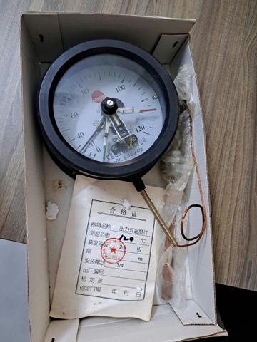 Đồng hồ đo áp suất WTZ-288