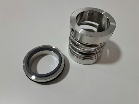 Bộ phốt làm kín kiểu cơ khí, model: TG125-45/T4LA