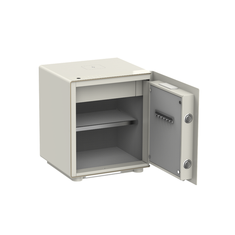 Két Sắt PHILIPS SBX300-5PC