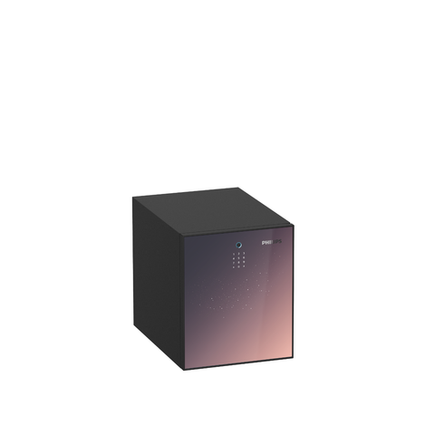 Két Sắt PHILIPS SBX501-4C0