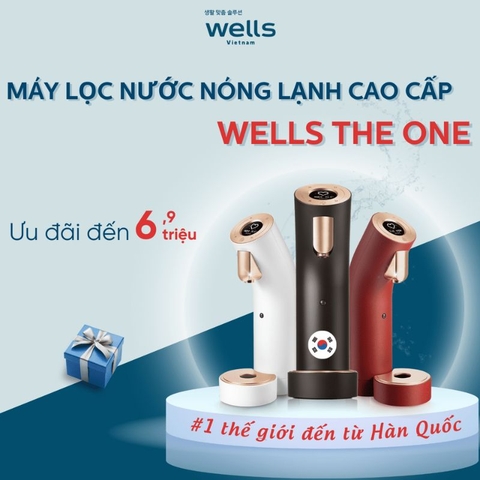 Máy Lọc Nước Nóng Lạnh Wells The One