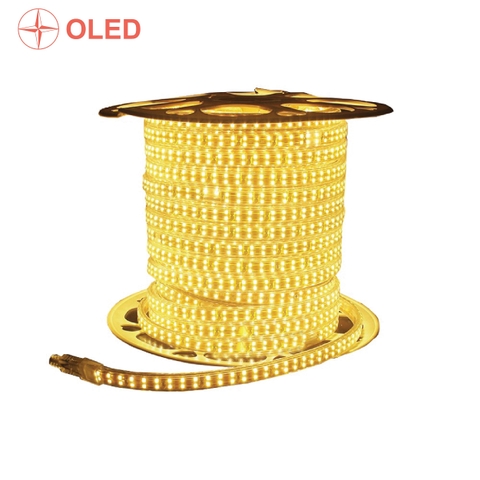 Đèn Led Dây Cao Cấp 2H-5730-120