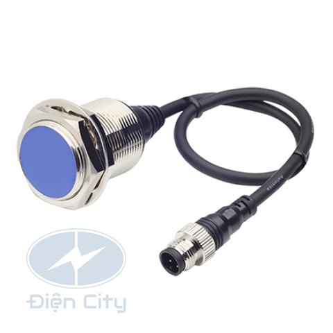 Cảm biến tiệm cận Autonics PRDWT30 phạm vi 15mm 12-24VDC