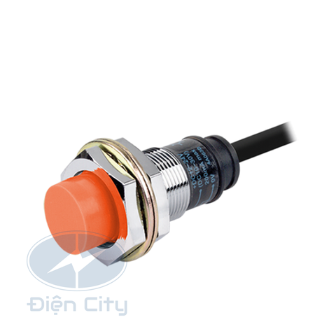 Cảm biến tiệm cận Autonics PRS12 phạm vi 4mm 12-24VDC