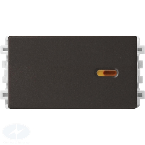 Công tắc 2 chiều 16AX Schneider Zencelo A 8431S-2 size S