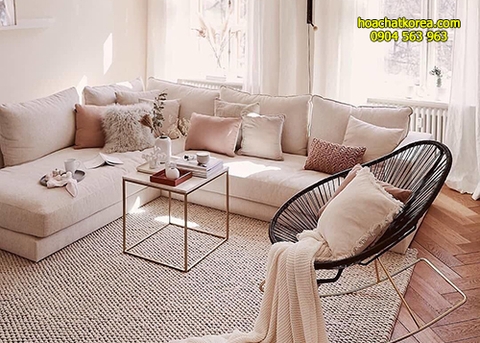 Các loại hóa chất dùng trong vệ sinh thảm đệm ghế sofa