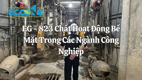 EG - 823 Chất Hoạt Động Bề Mặt Trong Các Ngành Công Nghiệp