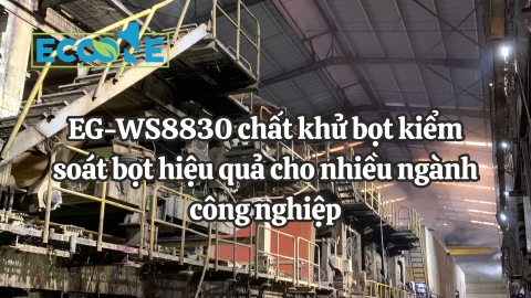 EG-WS8830 chất khử bọt kiểm soát bọt hiệu quả cho nhiều ngành công nghiệp