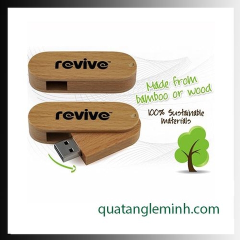 USB quà tặng - USB gỗ 012