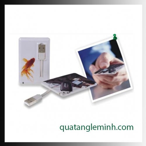 USB quà tặng - USB card 034