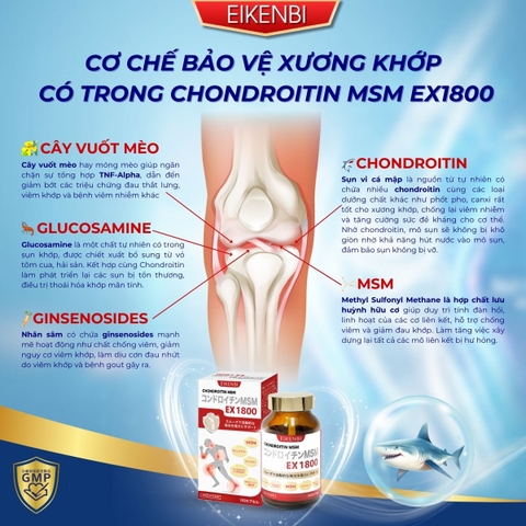 Viên Uống Bổ Xương Khớp Sụn Cá Mập Cao Cấp Chondroitin MSM EX1800 [180 viên]