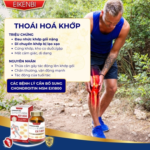 Viên Uống Bổ Xương Khớp Sụn Cá Mập Cao Cấp Chondroitin MSM EX1800 [180 viên]