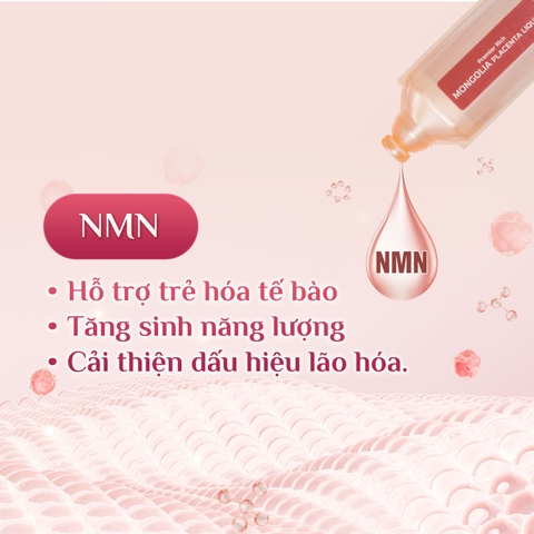 Nước Uống Nhau Thai Ngựa Chiến Mongolia Placenta Liquid Eikenbi [Hộp 30 ống 10ml]