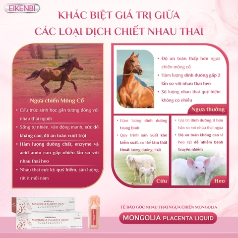 Nước Uống Nhau Thai Ngựa Chiến Mongolia Placenta Liquid Eikenbi [Hộp 30 ống 10ml]