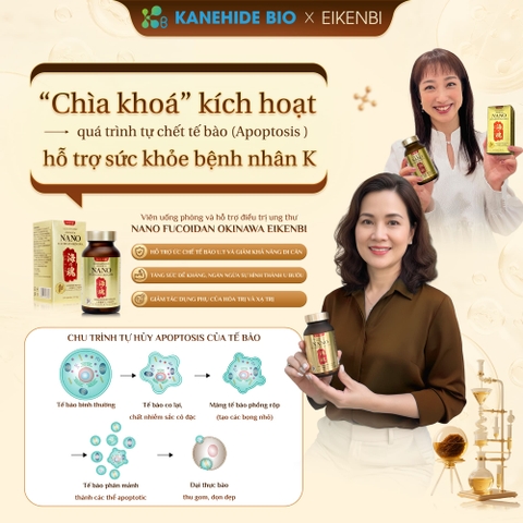 Viên Uống Phòng & Hỗ Trợ Điều Trị Ung Thư Nano Fucoidan Okinawa Kanehide Bio x Eikenbi (Hộp 120 viên)